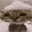 IMAFISH12345 avatar