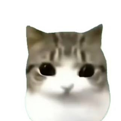@ratthewww