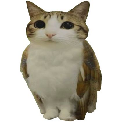 @NormanMeowl