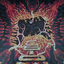 turtle_king avatar