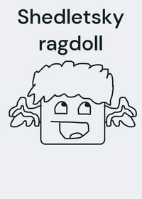 Shedletsky ragdoll