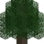 Sonic_Blast_OC avatar