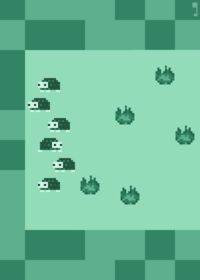 Turtle race