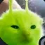 Kim8 avatar