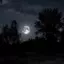 Night_Sky avatar