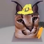 floppamaker avatar