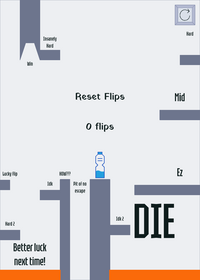Bottle Flip