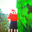 mehrsamxy3 avatar