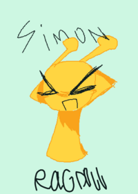 Simon ragdoll