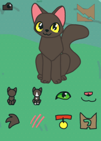 Warrior cats creator