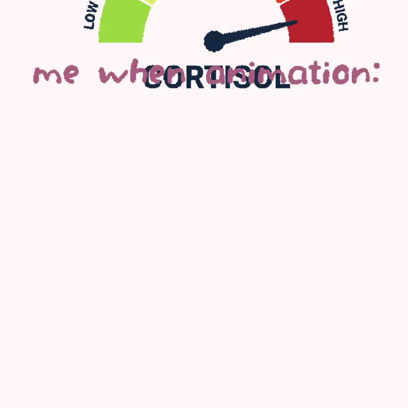 Animation by @rewriite