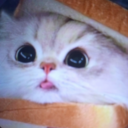 @anxious-koala56