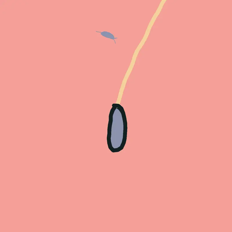 Fish RNG by @carlmillokings