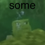 Rainbow_Toad avatar