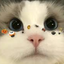 yuru_lari avatar