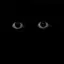 life_is_like_yourself avatar