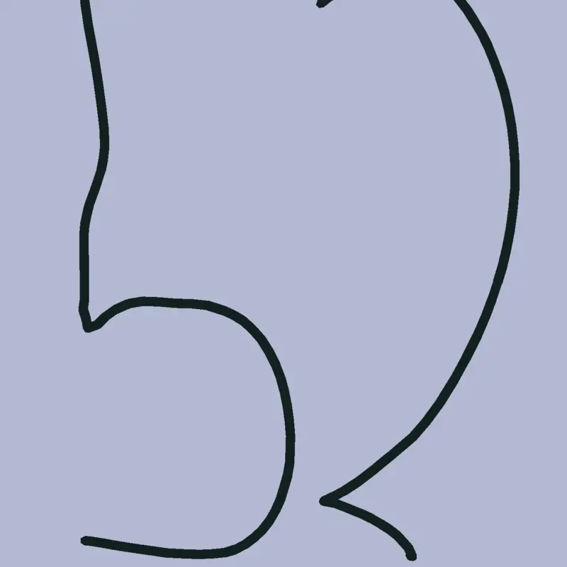 52 by @PedroHenriqueSchuster