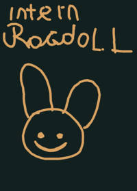 intern ragdoll!