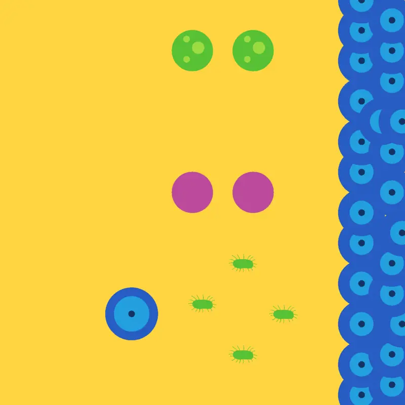 Game by @Jaykelodeonverse