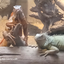 lizardsplay avatar