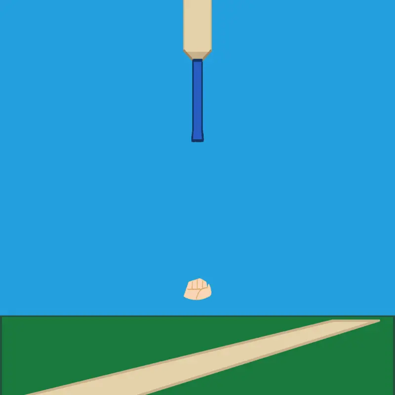 balance a cricket bat by @tornado_probe