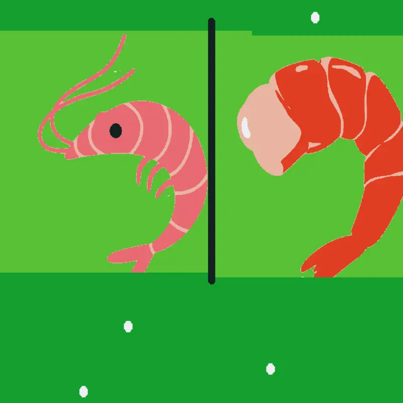 Shrimp hunt by @entertaiment