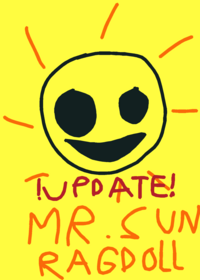 Mr.sun ragdoll
