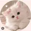 Neko_Paws avatar