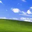 Windows-XP-2026 avatar