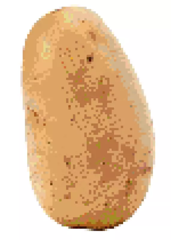 Game by @PotatoEater