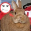 peterhurtubise avatar