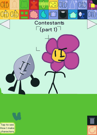 Bfdi Ragdoll