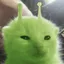 ZEP_ZEP_ZEP avatar