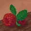 raspberry_host avatar