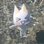 ilynh_ avatar