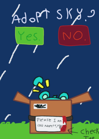 Adopt sky