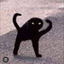 chez_lover avatar