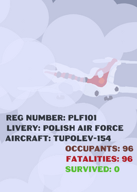 Polish Air Force flight 101