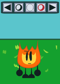 Bfdi Ragdolls