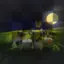 CanimalsFunhouse avatar