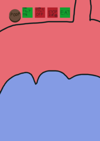 Stomach simulator