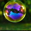 yourlocalBubble_4 avatar
