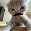 GatodeBigode avatar