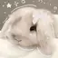 LuvBunnie avatar