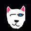 furry8366 avatar
