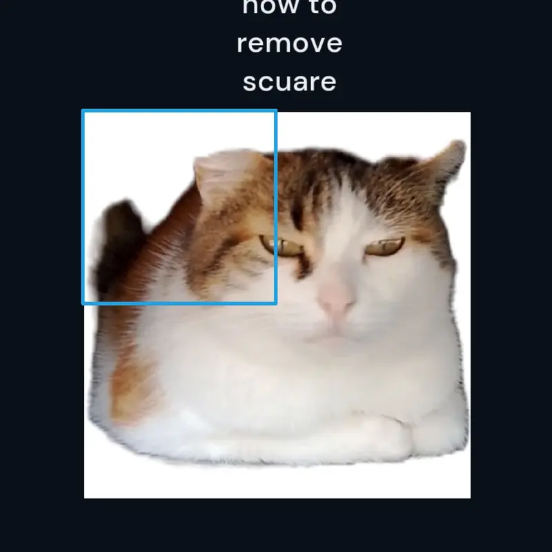 cat by @seva_corporation_offical