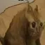 Breh707 avatar