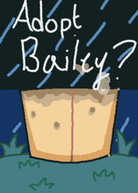 Take care of Bailey!