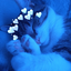 SkyuOfficialXD avatar