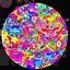 Sprinklesysh avatar